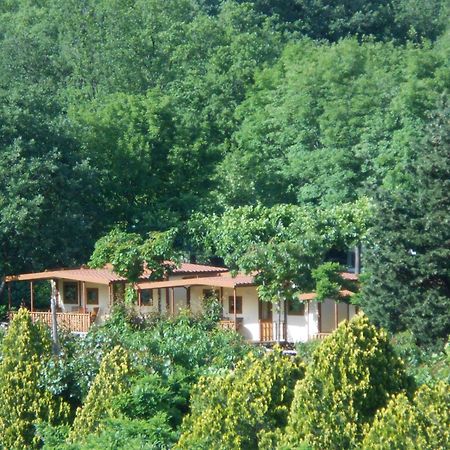 Campeggio Pian Dei Boschi ปิเอตราลิกูเร ภายนอก รูปภาพ