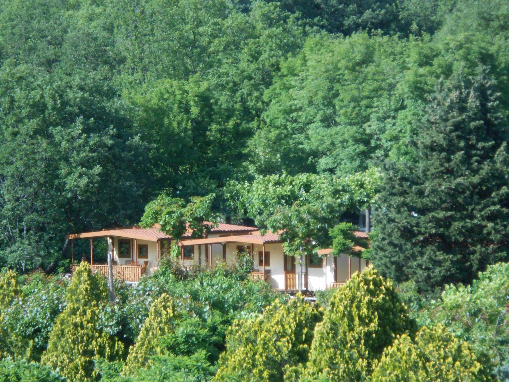 Campeggio Pian Dei Boschi ปิเอตราลิกูเร ภายนอก รูปภาพ